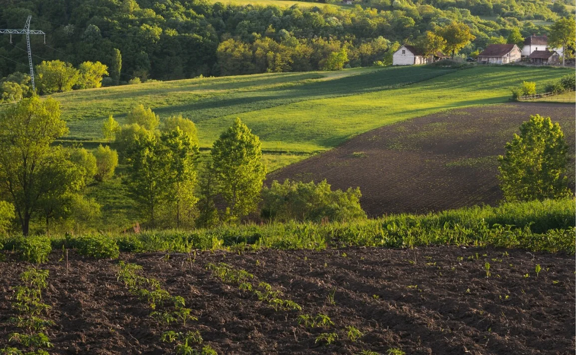Sustainable farming landscape at sunset