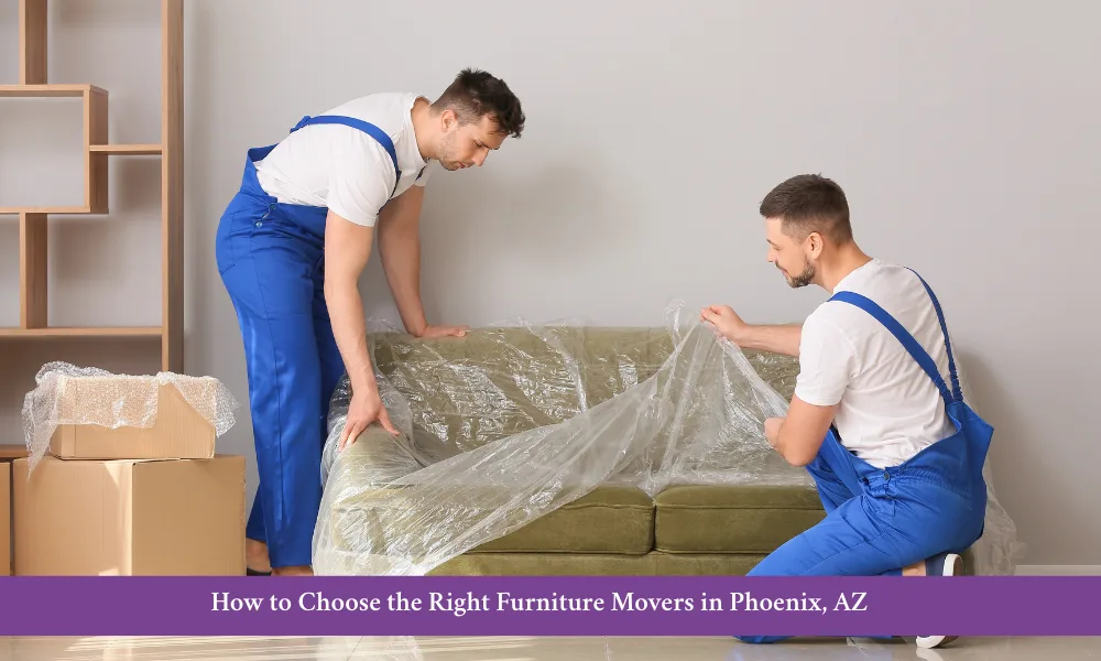 Two professional furniture movers are packing home stuff