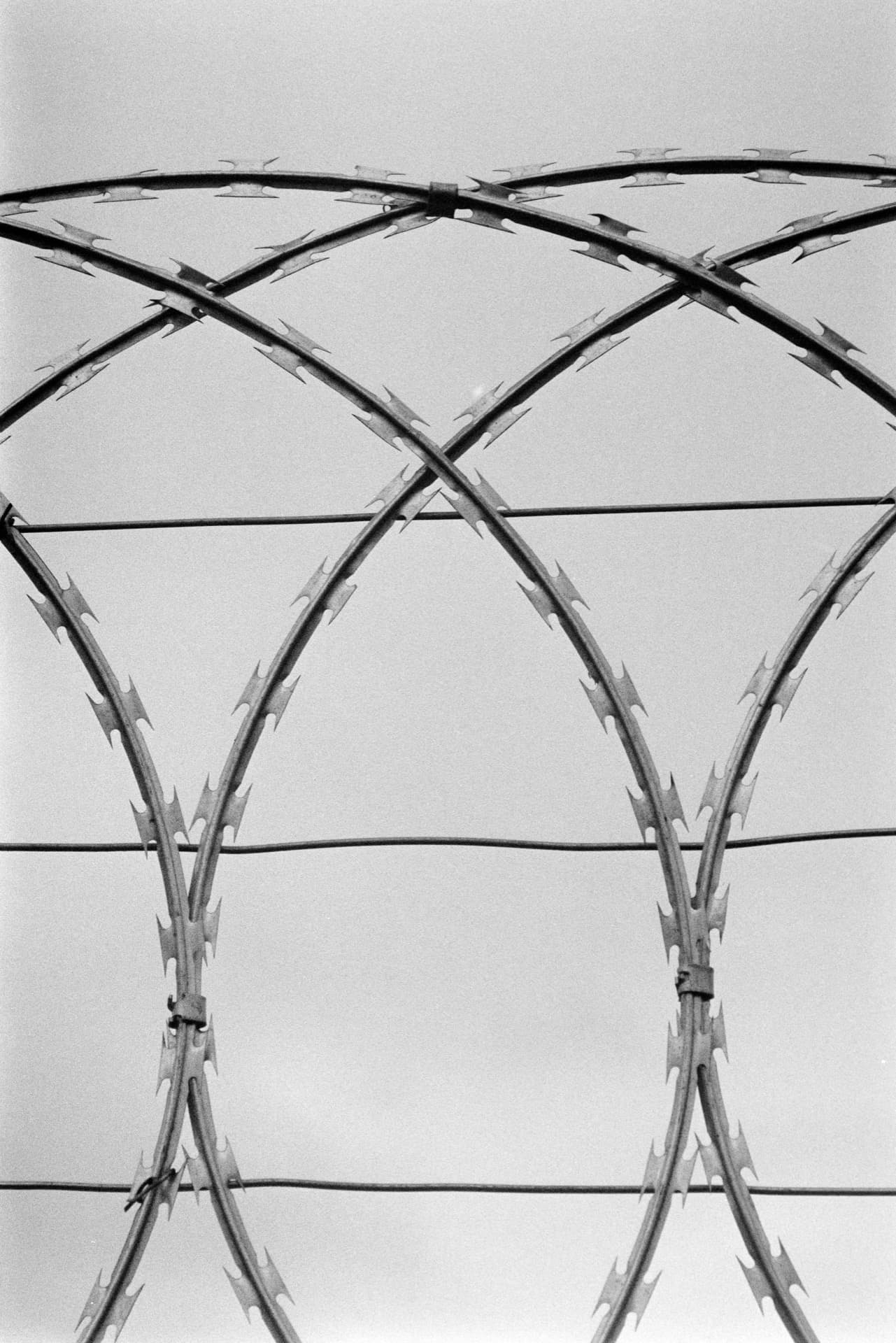 Crossed razor wire coils creating geometric diamond pattern on security fence