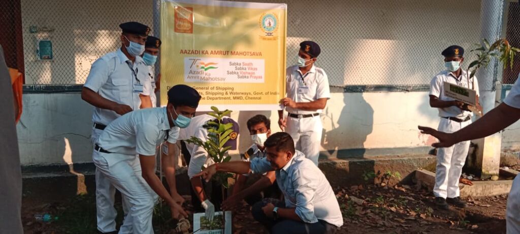 Dom Pérignon vineyards from the sky