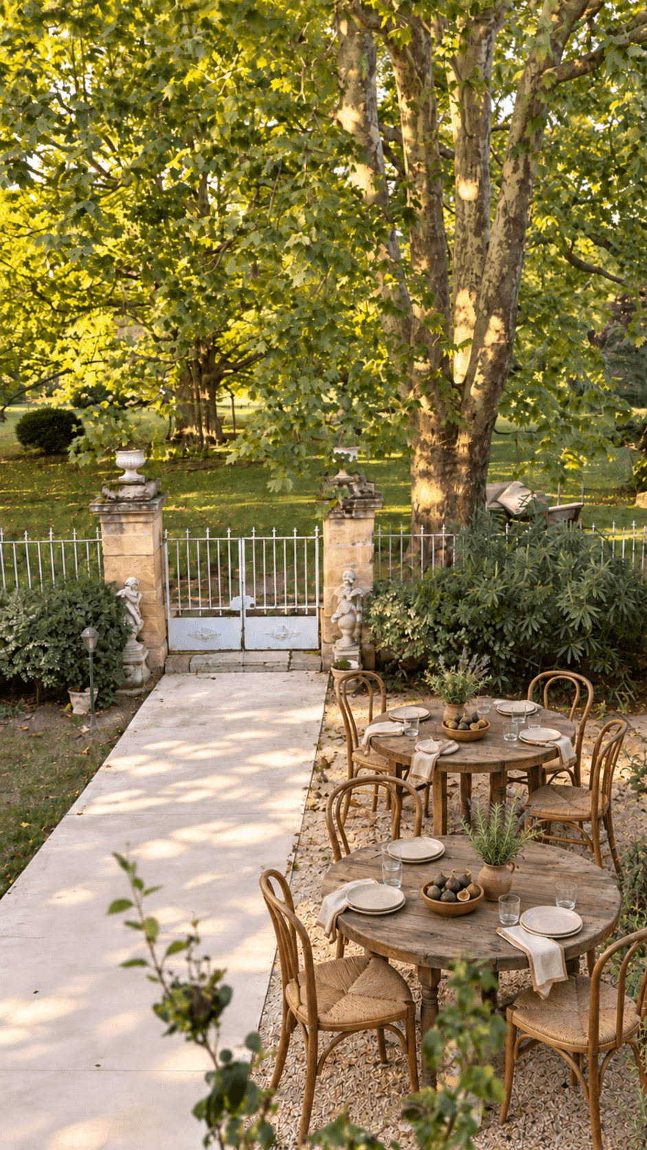 Your own wine story, illustrative atmosphere
