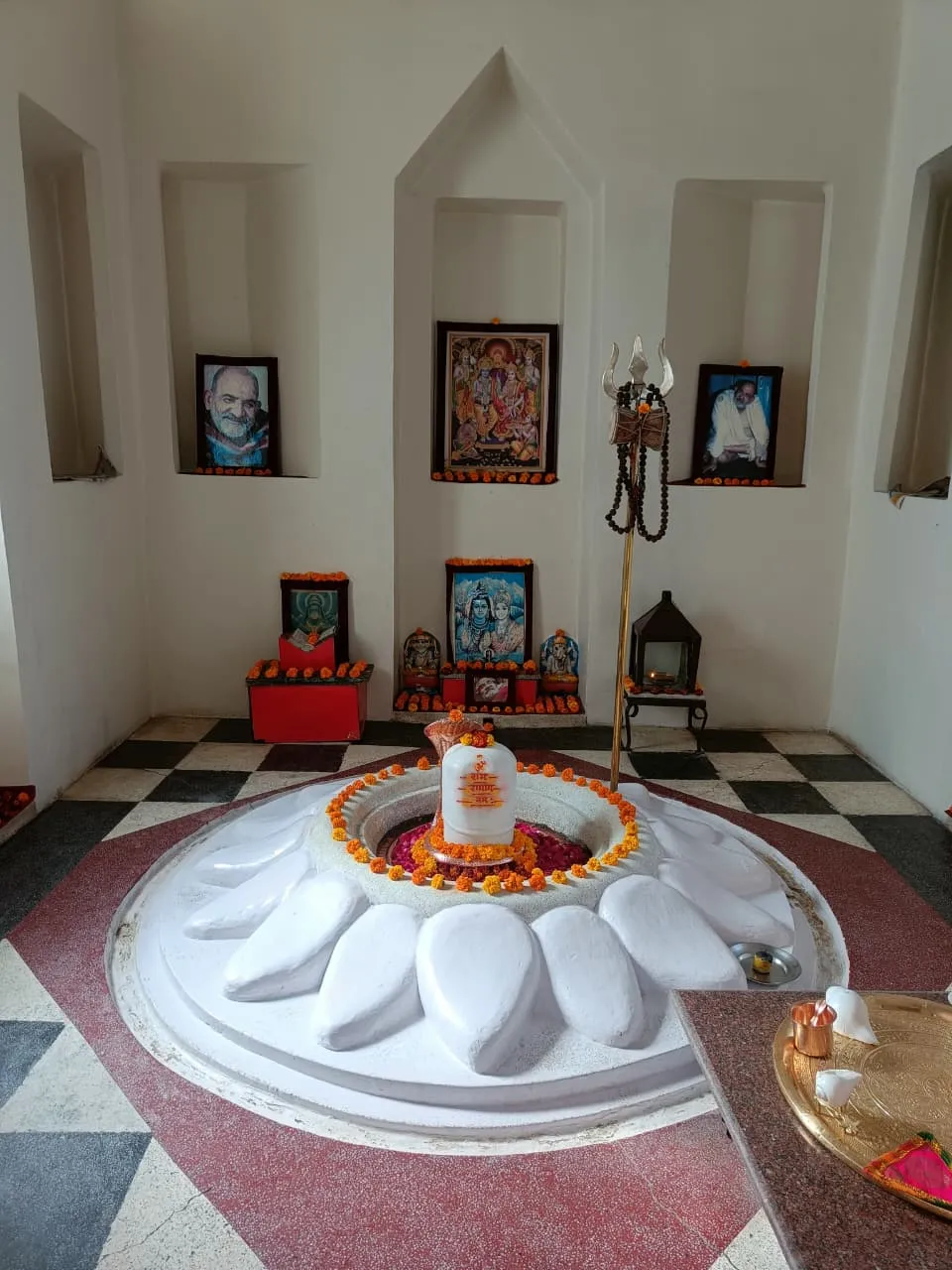 Image 14