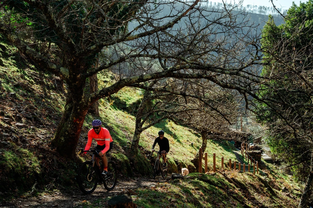 Two cyclists and a dog on a gravel road.