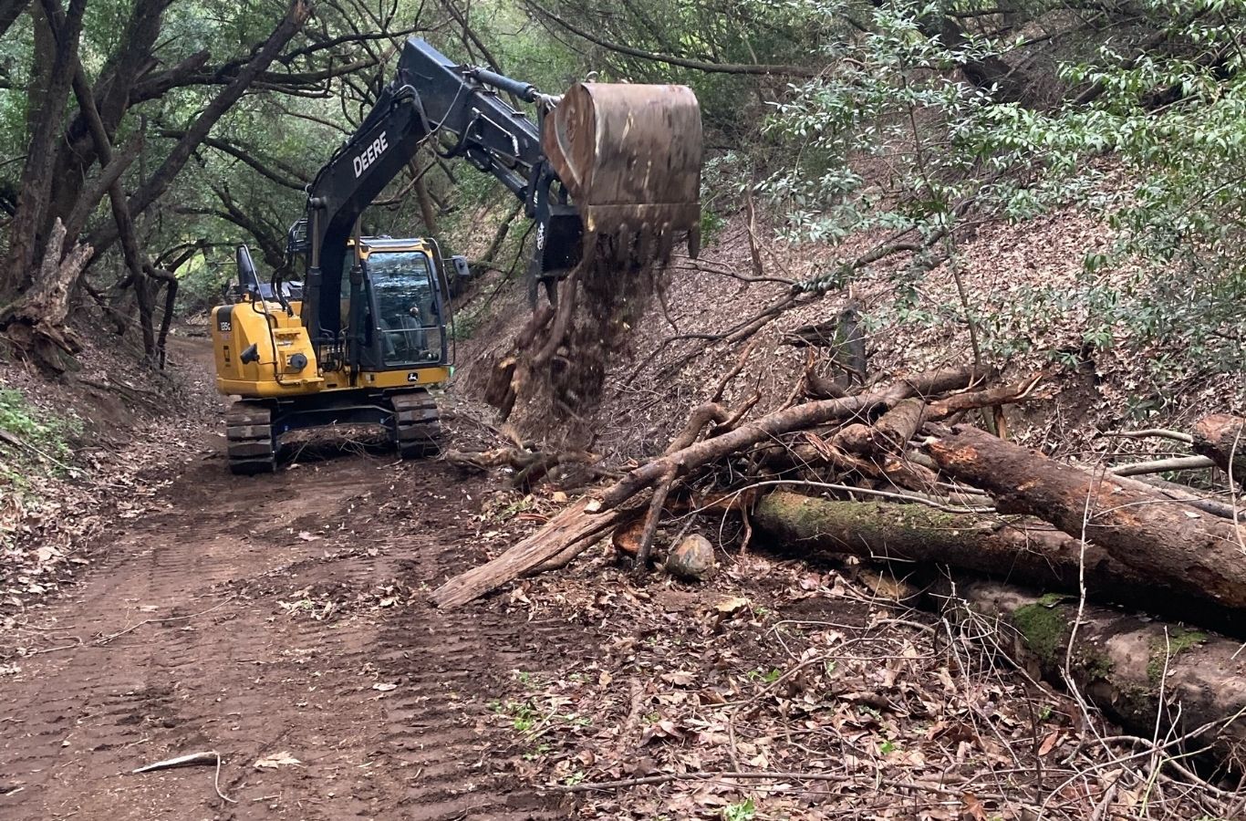 Lisac General Engineering team clearing dense forest vegetation in Sky Londa, CA with advanced machinery for efficient site preparation.