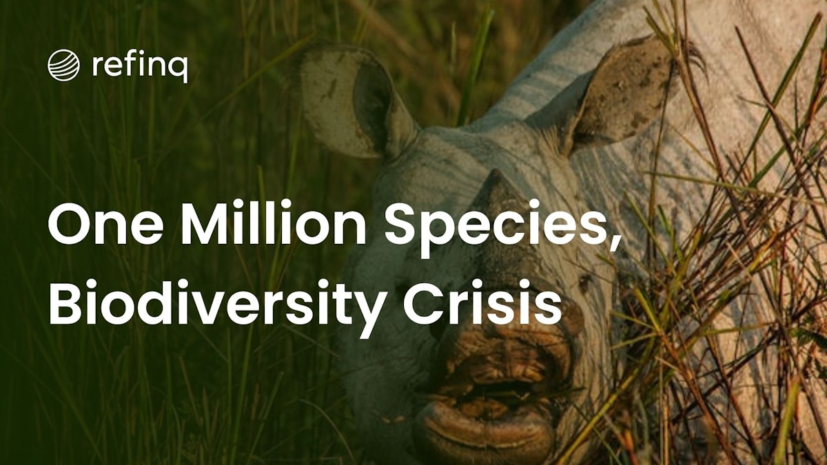 Biodiversity crisis