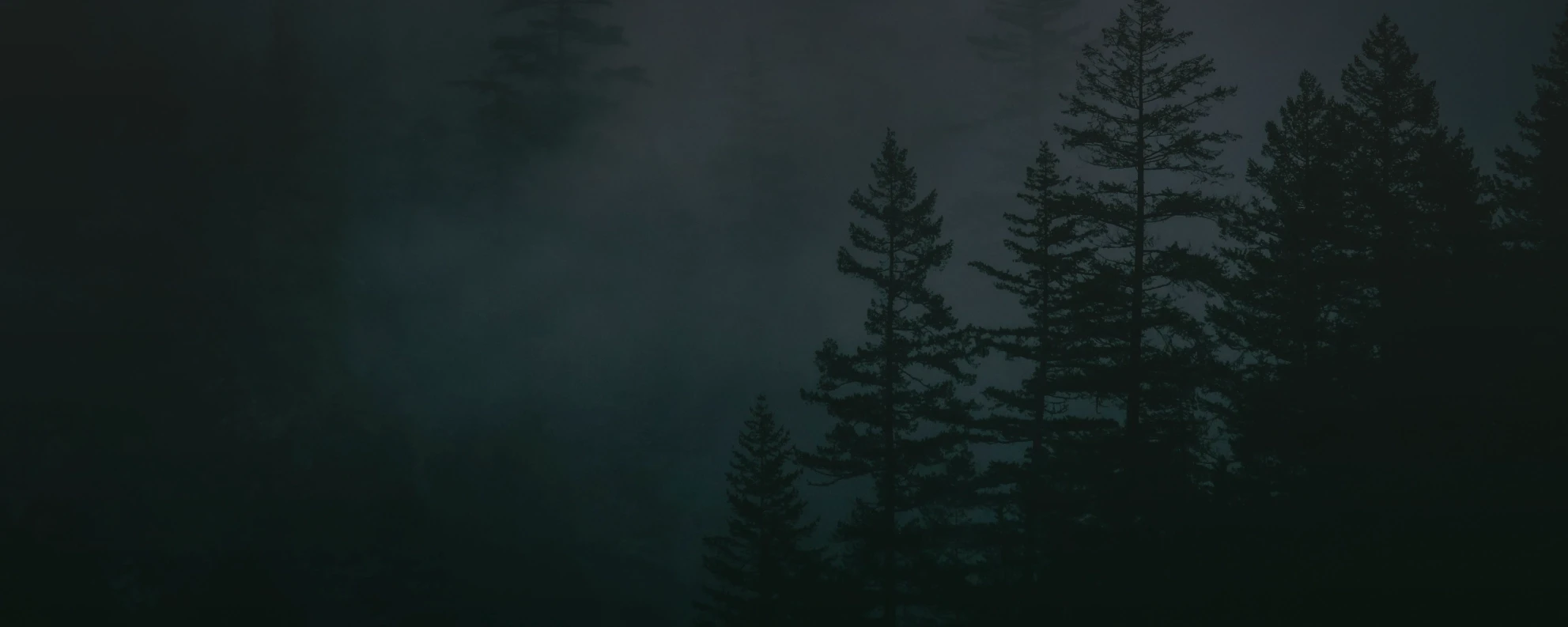 Background with misty trees