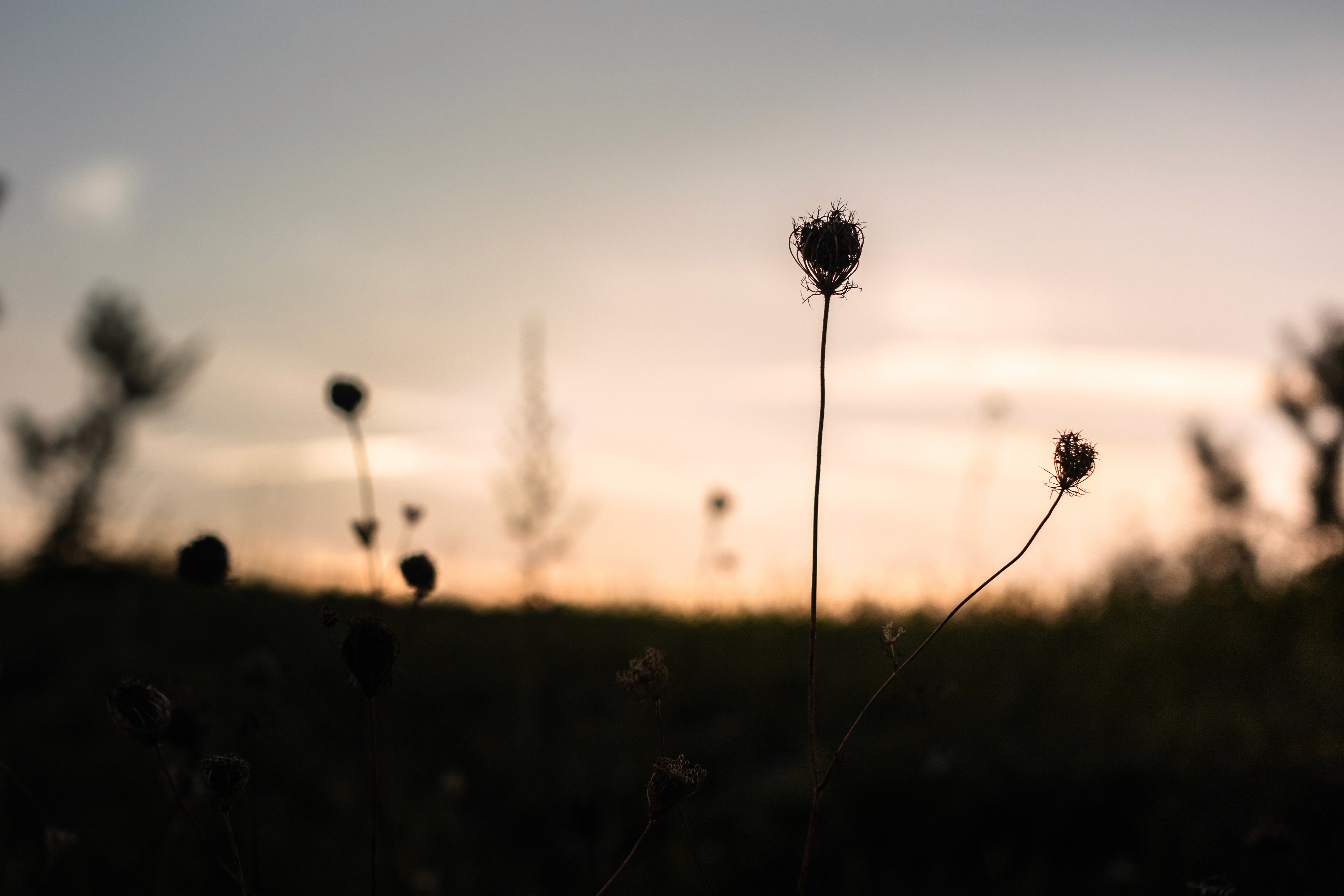 Mężczyzna leżący w trawie