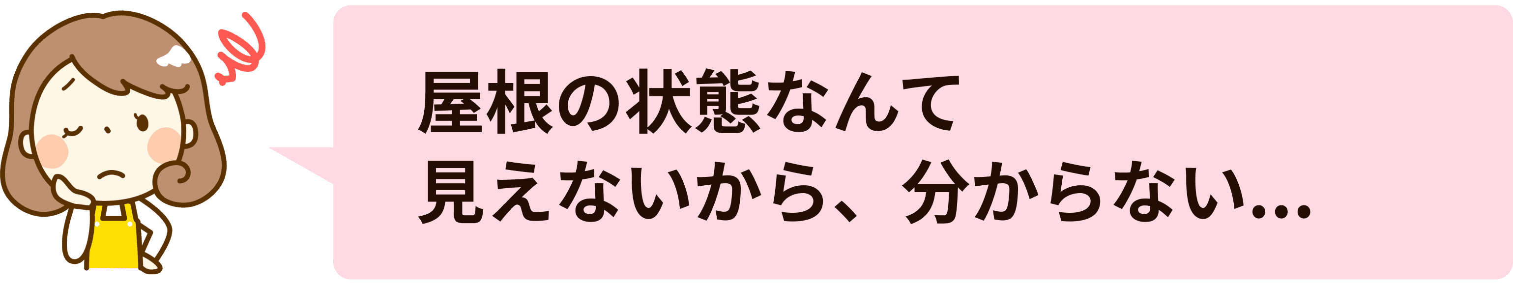 屋根の状態なんて見えないから、分からない...