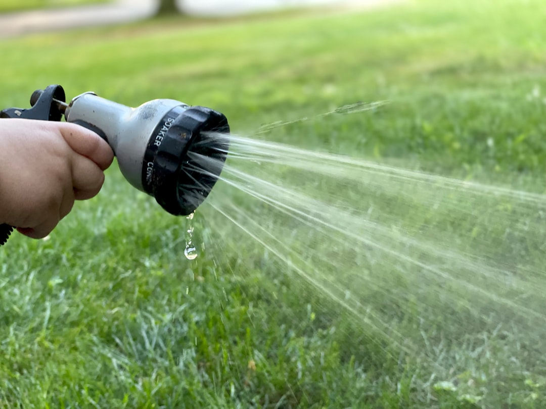 national centre for excellence - cbse schools - watering grass