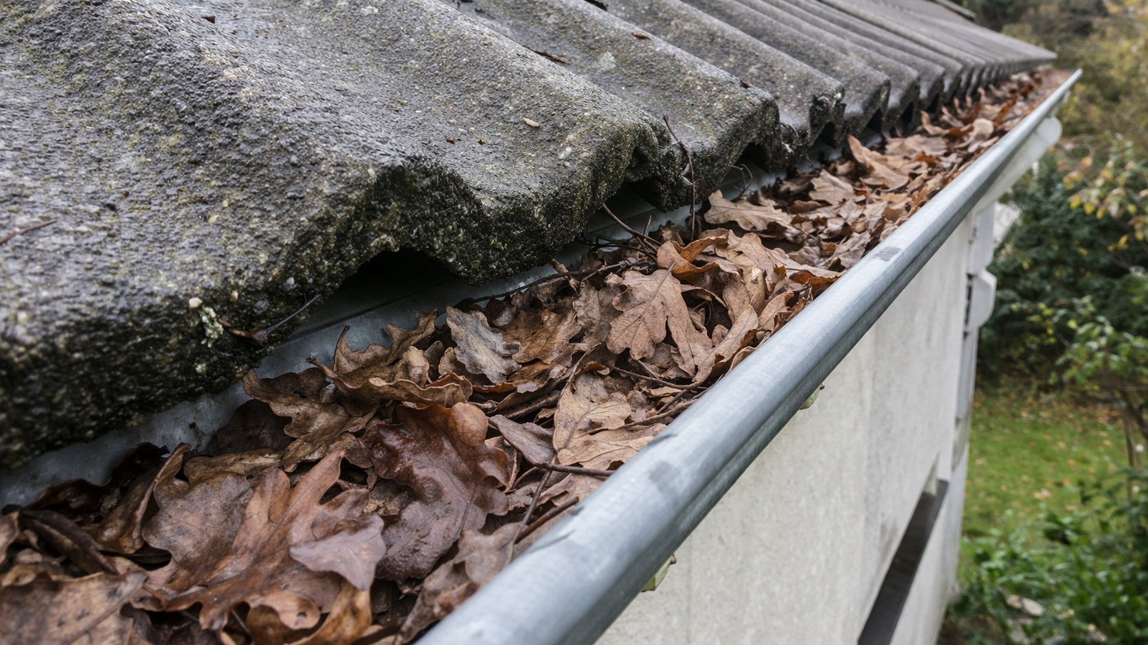 Gouttière de maison bouchée par des feuilles mortes sous une toiture en tuiles, illustration d’un risque d’évacuation d’eau et d’entretien de toiture