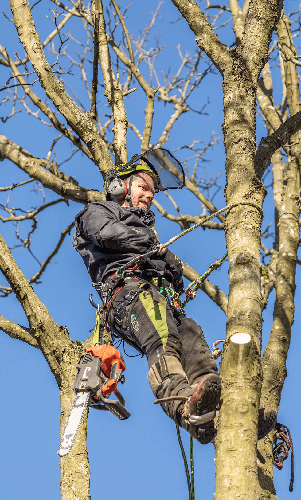birds eye photo of forest and mountains
