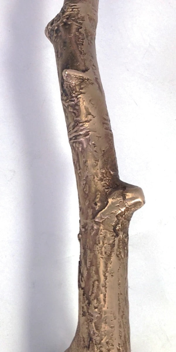 Twig