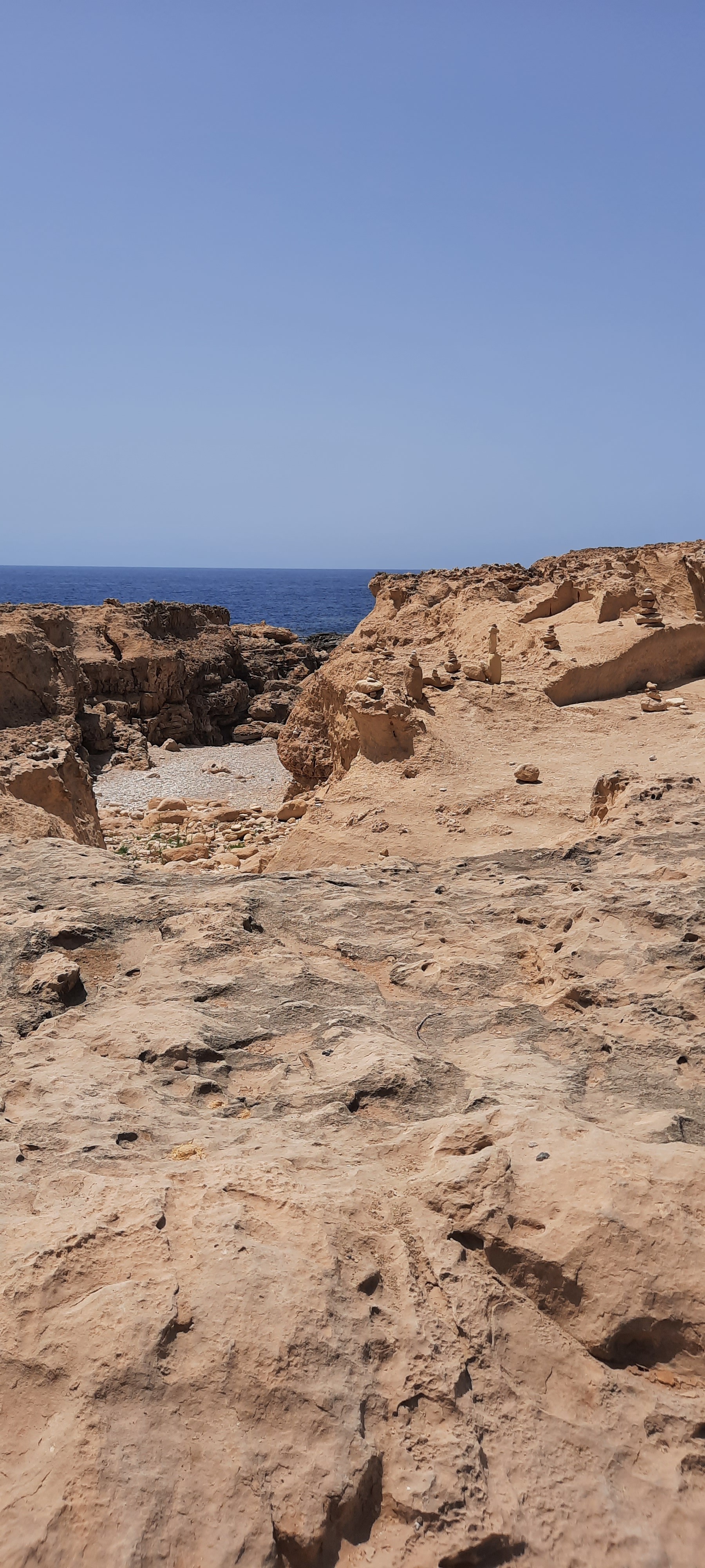 a brown dog sitting on top of a sandy beach