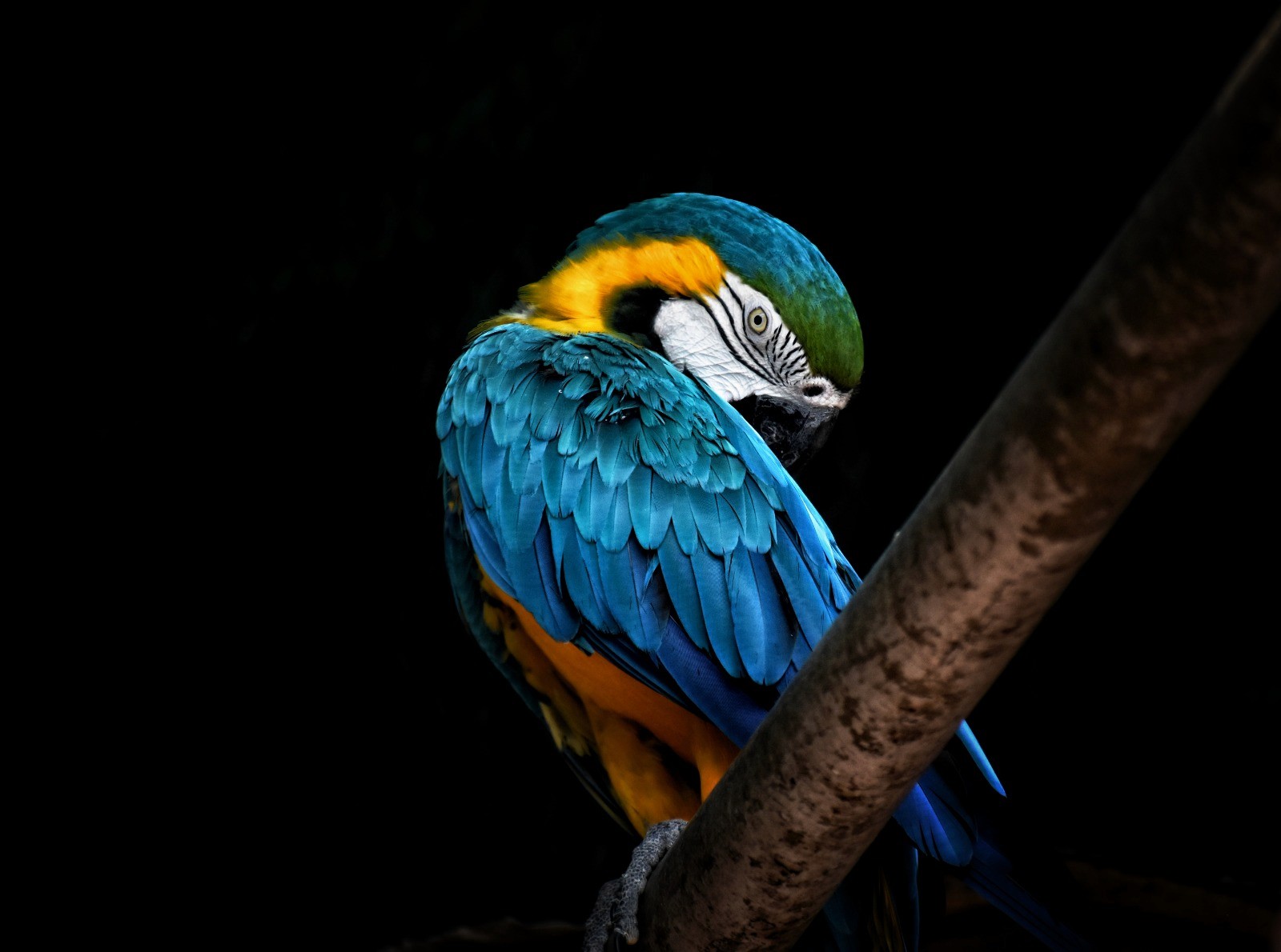 Travel and nature photography by Shashank Katariya
