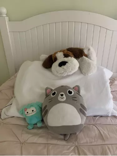 Three teddy bears of the PurFlow pillow