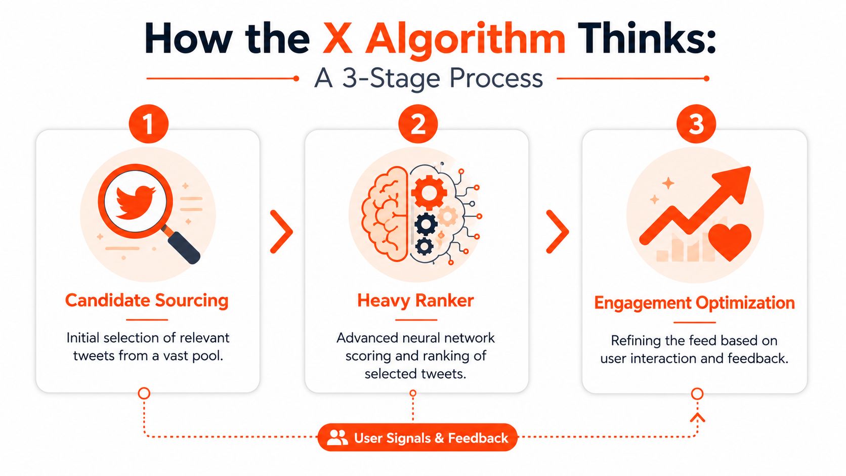 A three-stage infographic illustrating how the X algorithm processes and ranks content for the user feed.