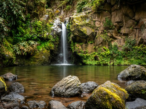 A tranquil waterfall flows into a clear pool.