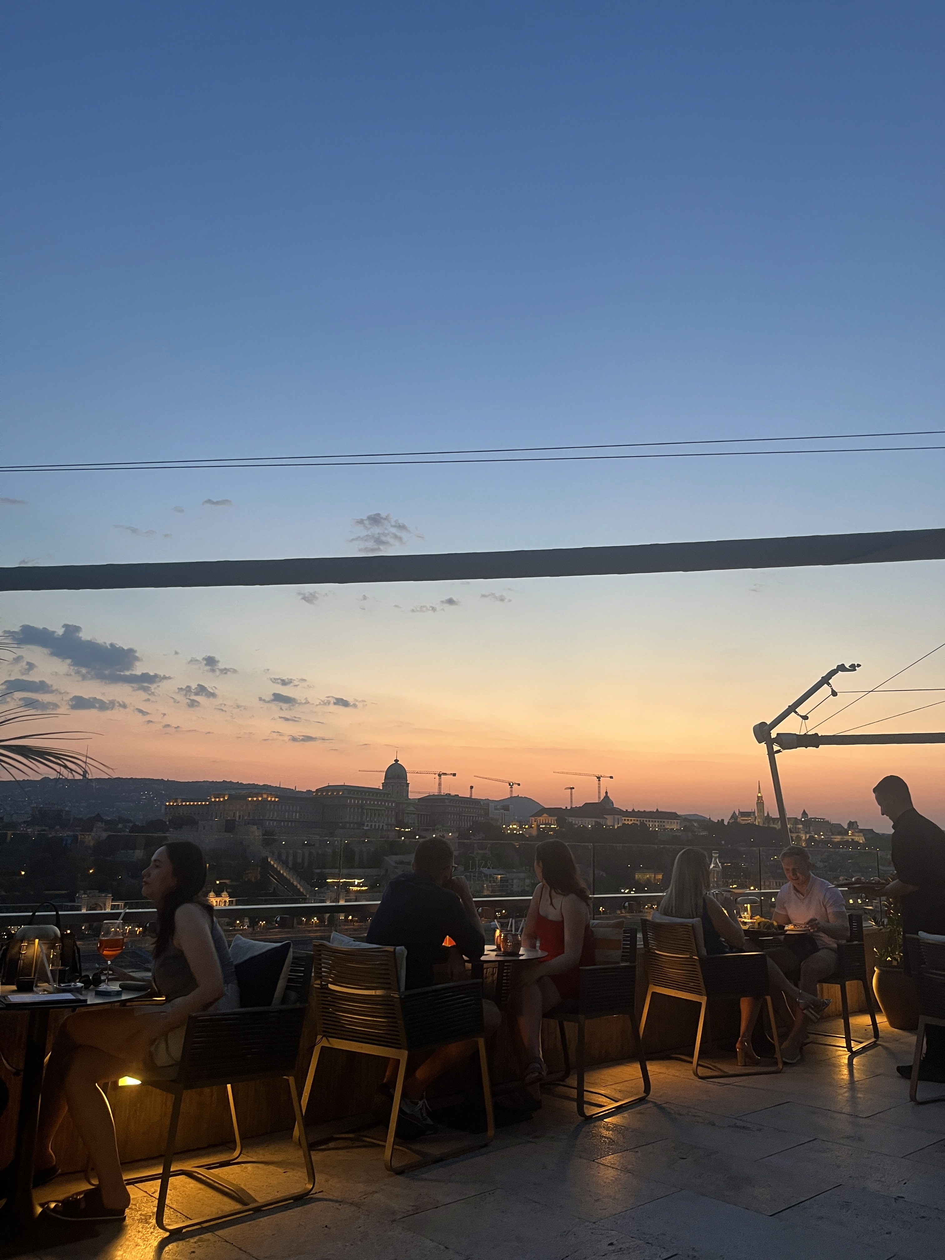 Vintage Car Under Palm Trees