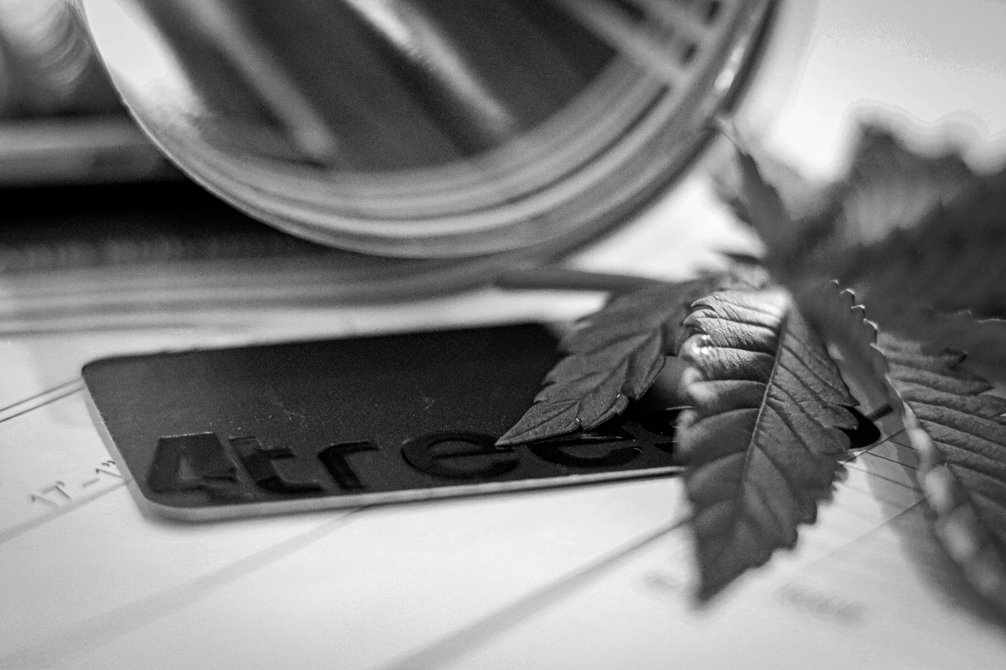 Closeup image showing floorplan and cannabis leaf as well as business card
