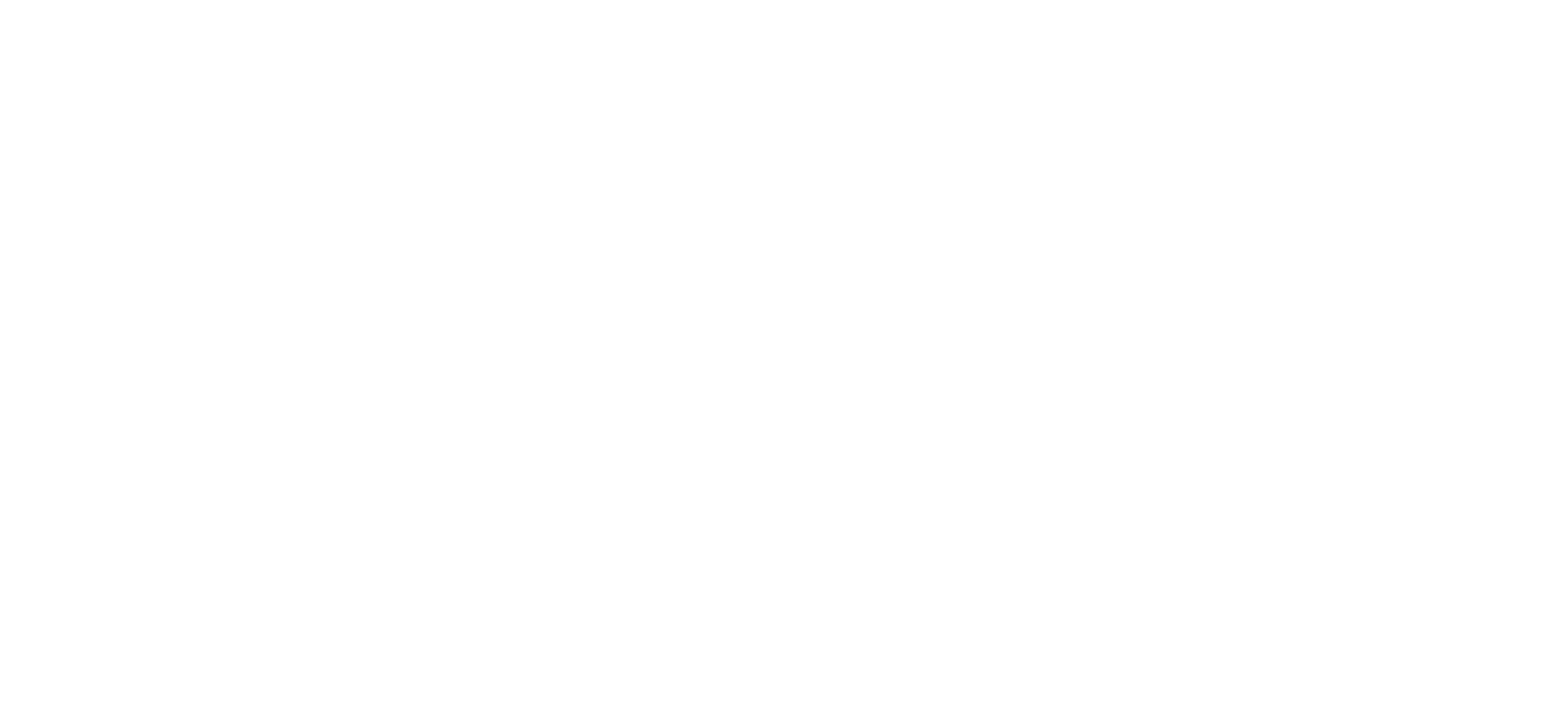 Stadtwerke Münster Logo