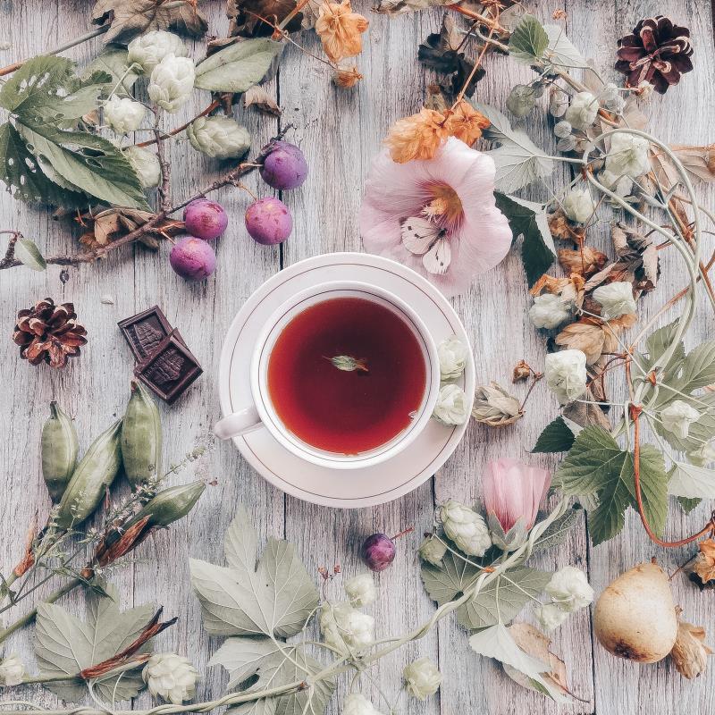 Tisane, decotti, infusi