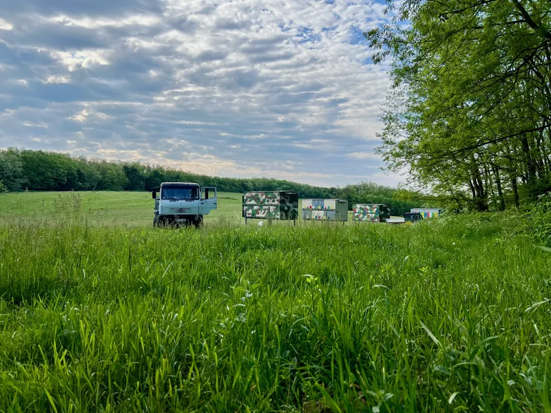 Vándortanya akácvirágzás idején