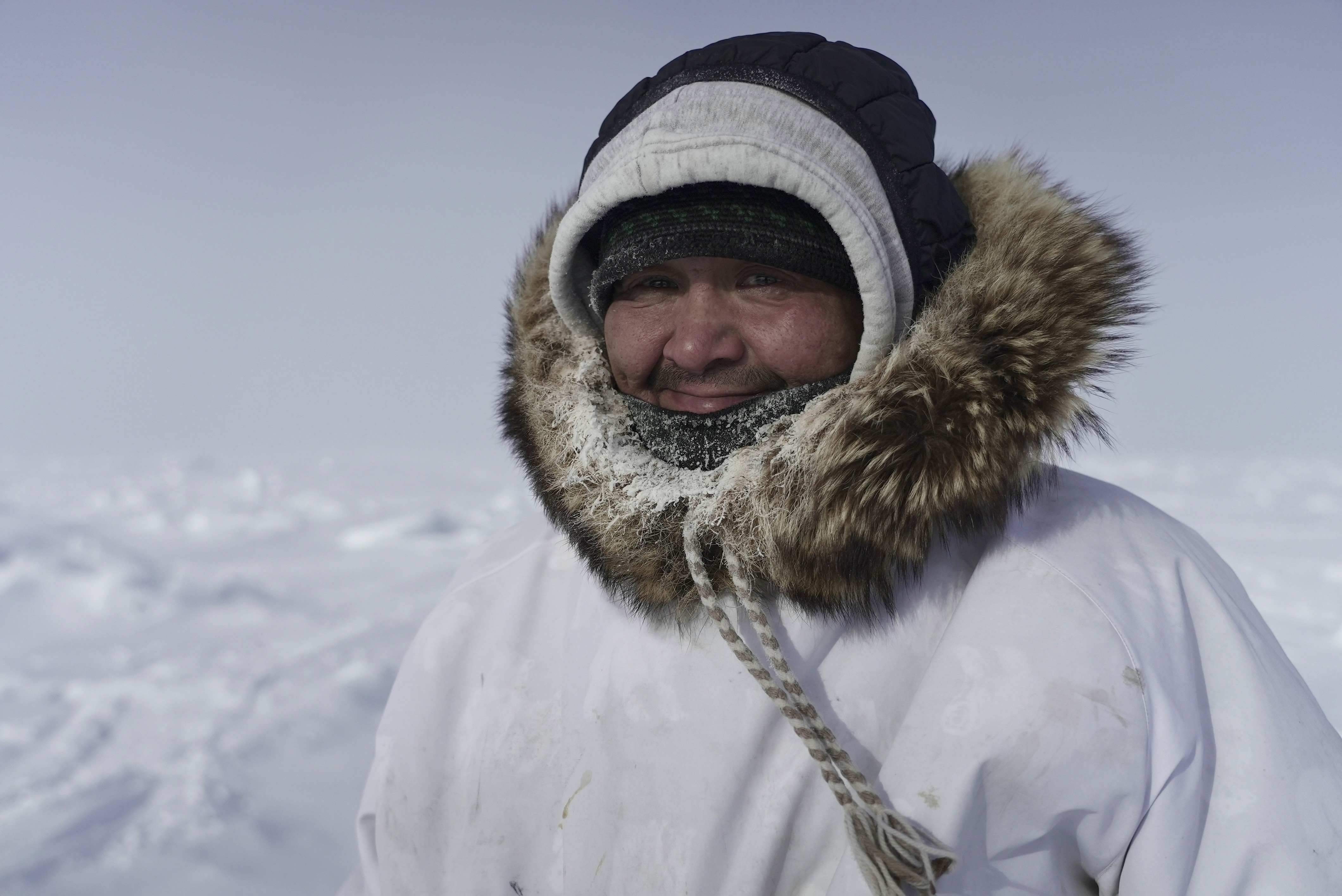 Polar bear on Arctic sea ice, wide shot, golden hour light