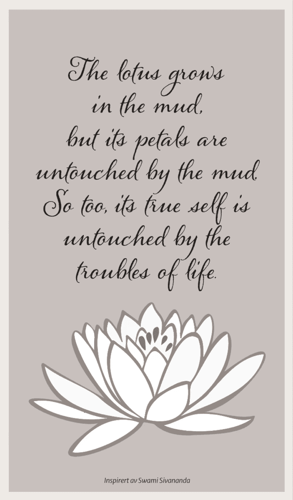 Lotus Flower quote