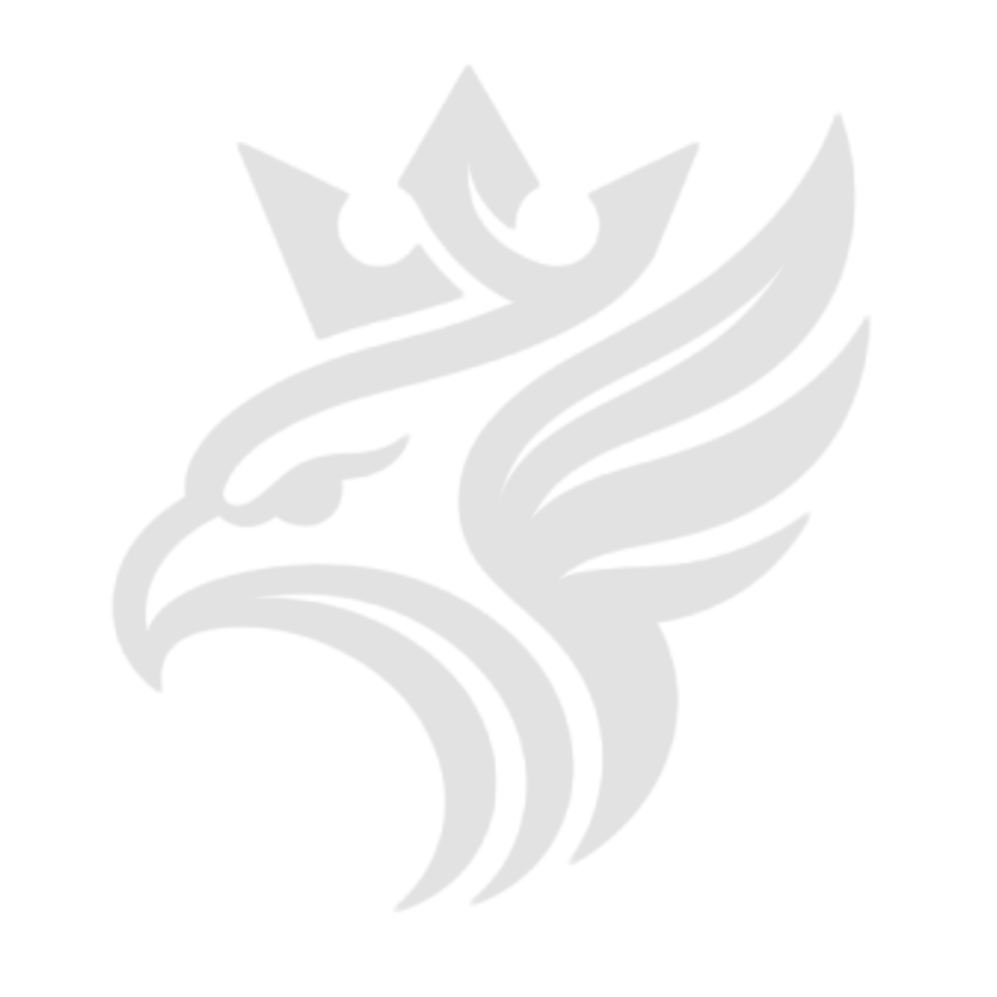 Cinematica Productio Falcon