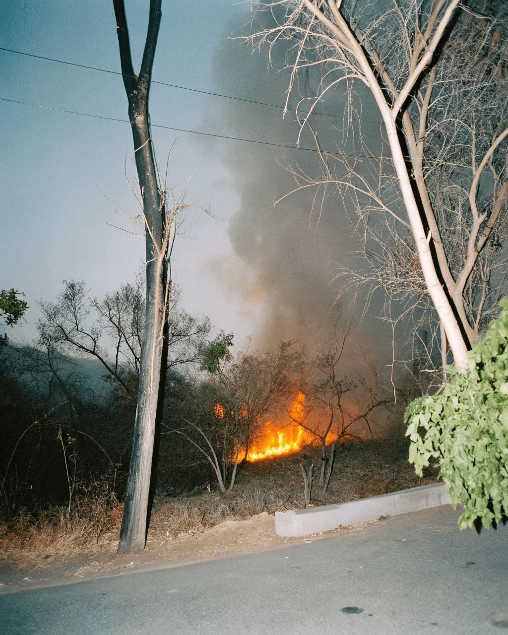 Los Angeles Wildfire Pacific Pallisades