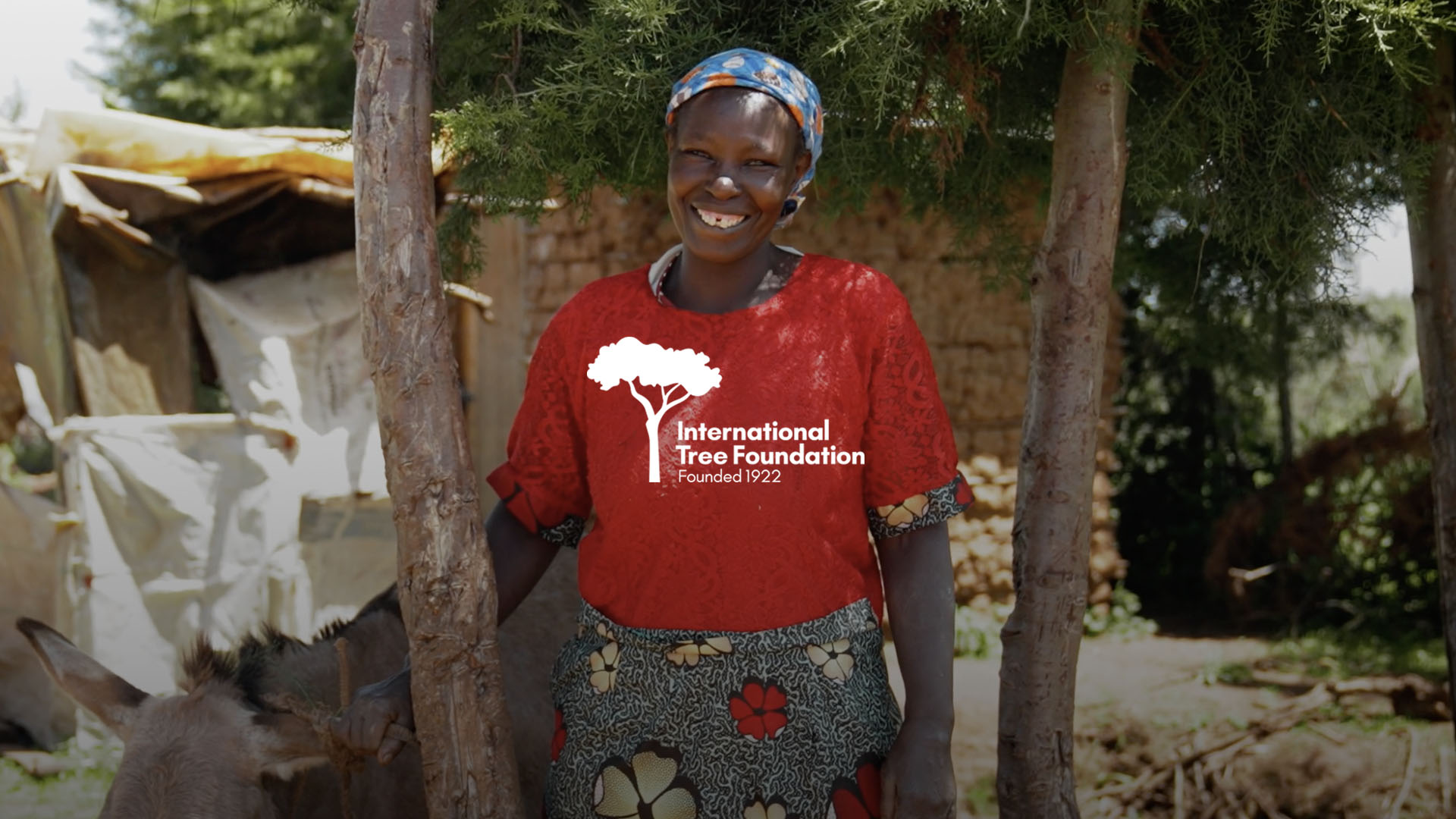 International Tree Foundation