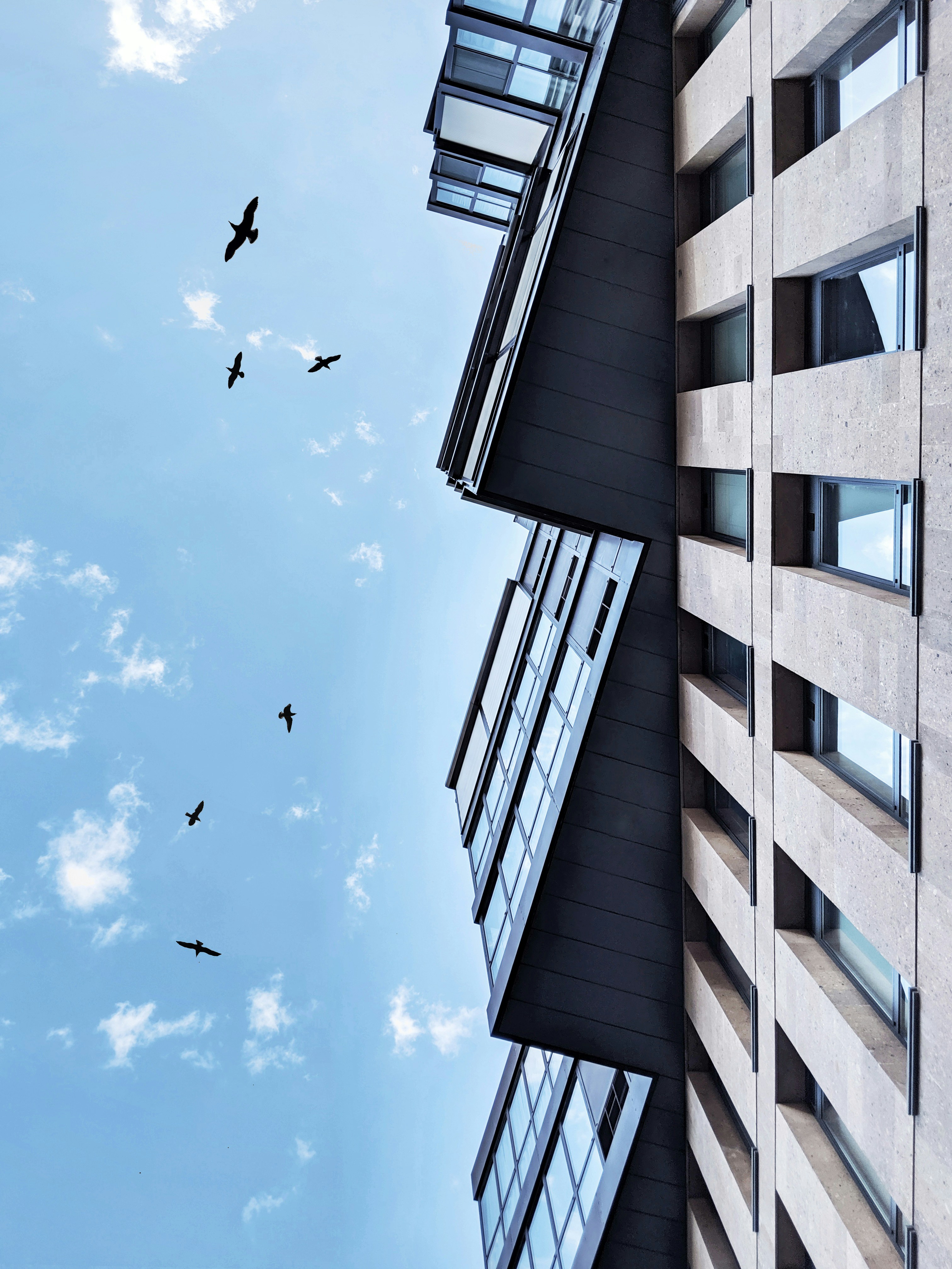 grey concrete building