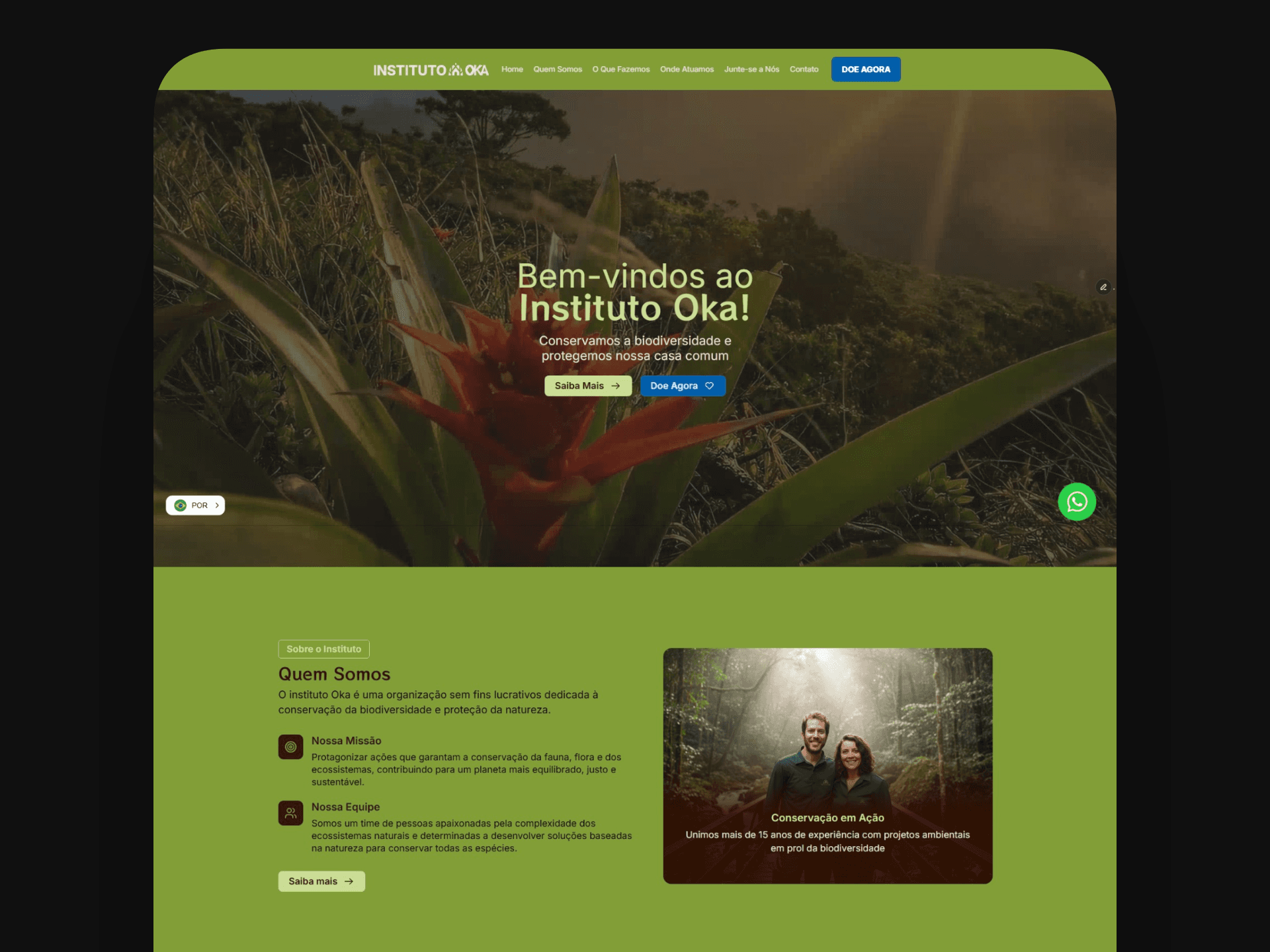 Instituto Oka — Visão geral do site