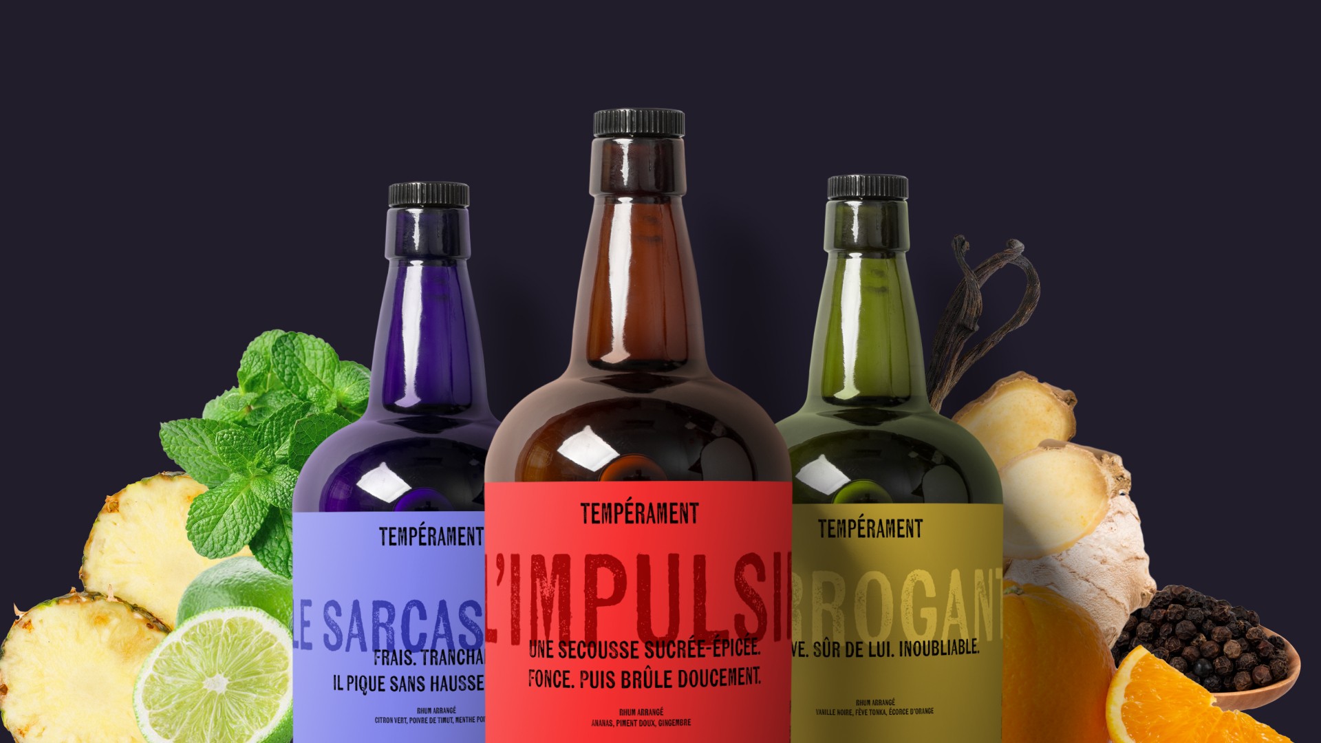 Bannière gamme Tempérament format 16/9 — L'Arrogant, Le Sarcastique et L'Impulsif côte à côte avec leurs ingrédients signature, système packaging trois personnalités, branding rhums arrangés différenciants Tartelette Concept Toulouse