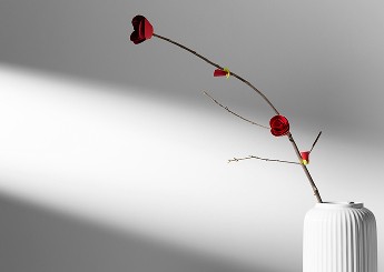 Minimalistic red flower