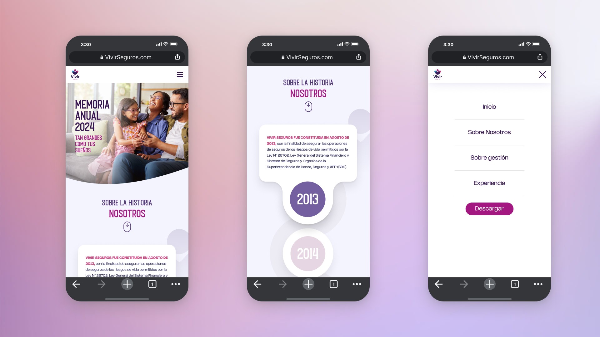 Project Gallery Image for 50% width of the screen #2