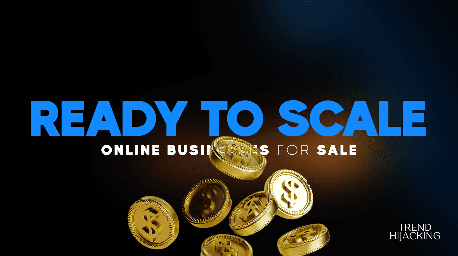 ecommerce business for sale