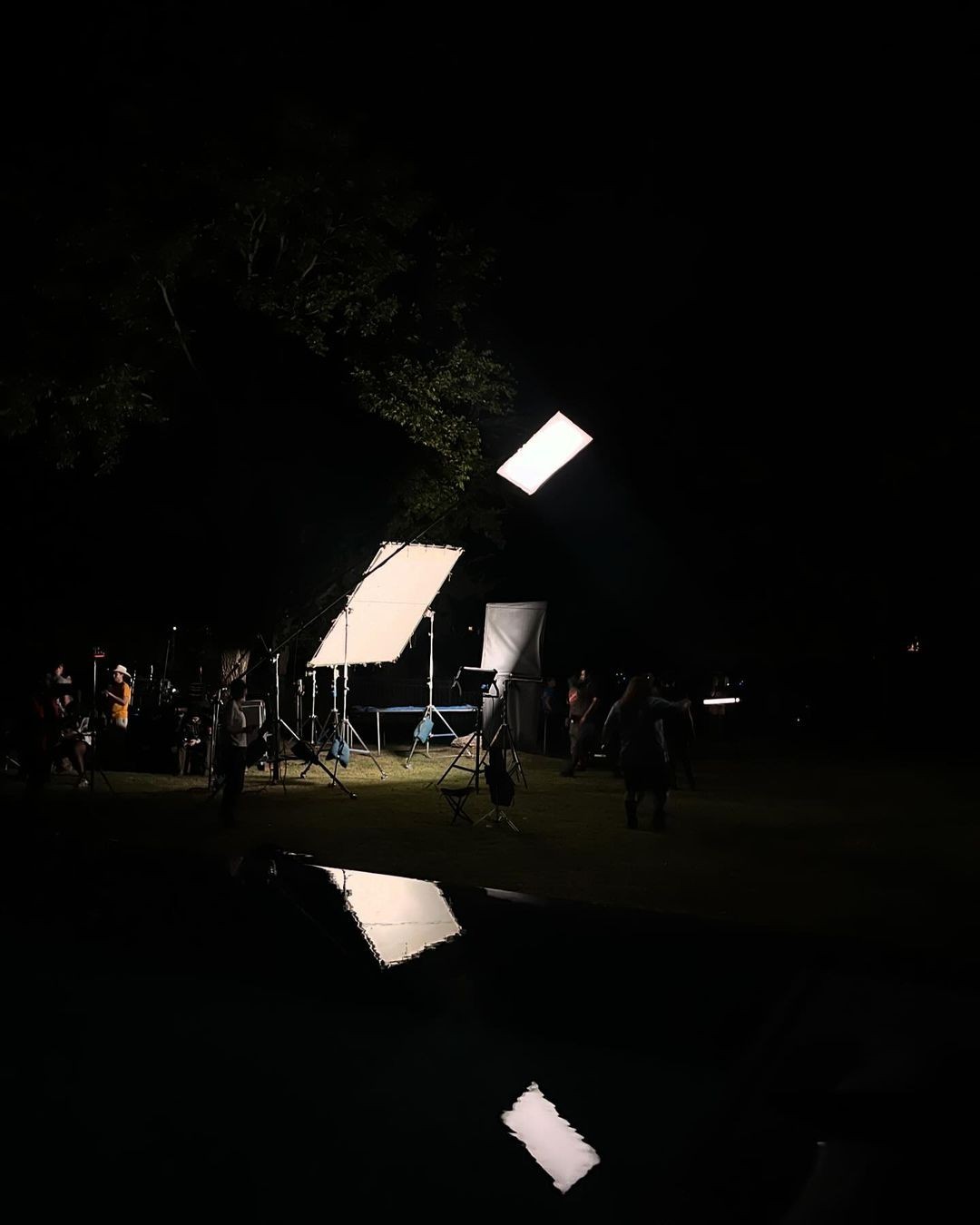 A green butterfly rests on a flower.