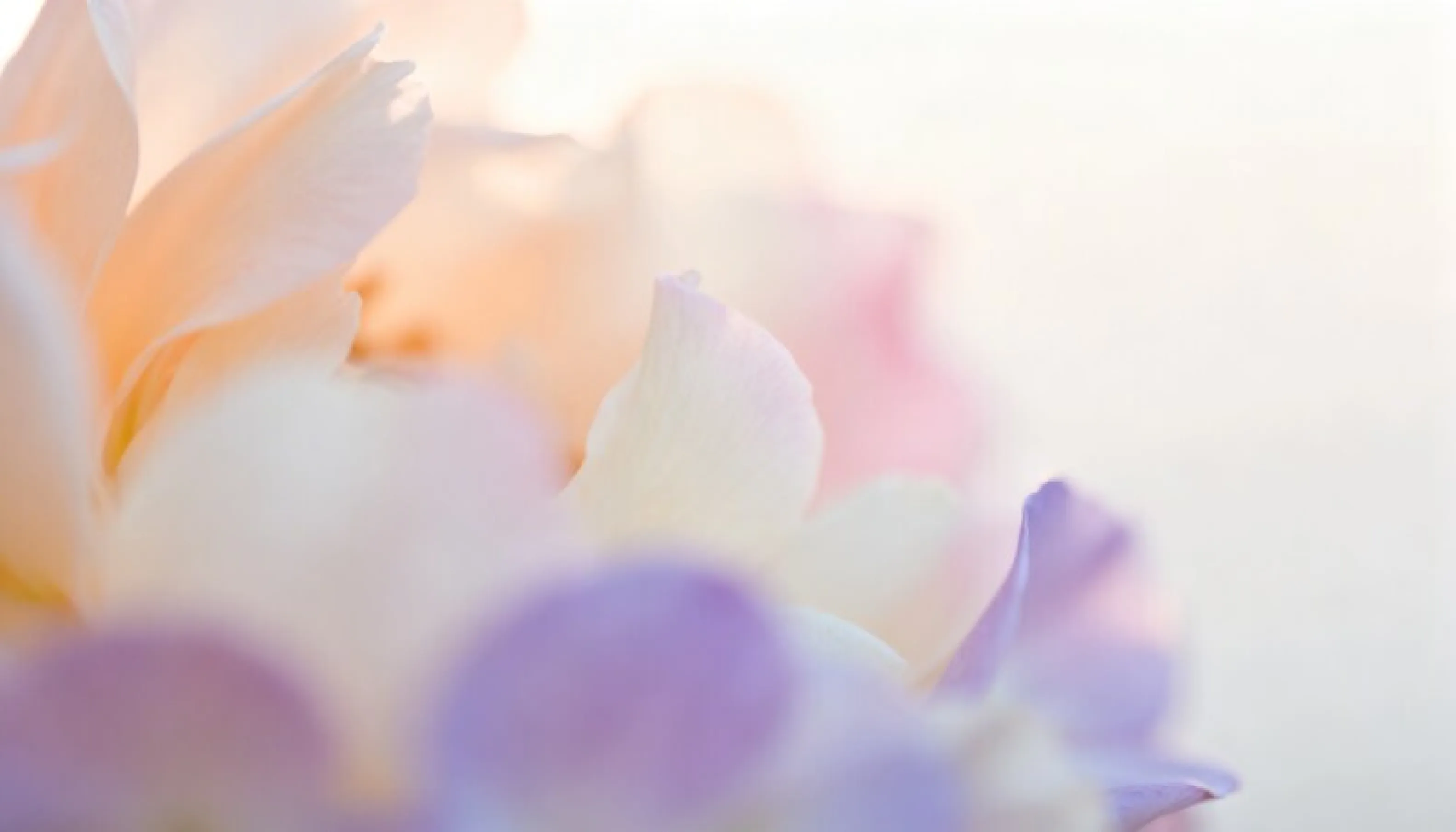 Card Background Image