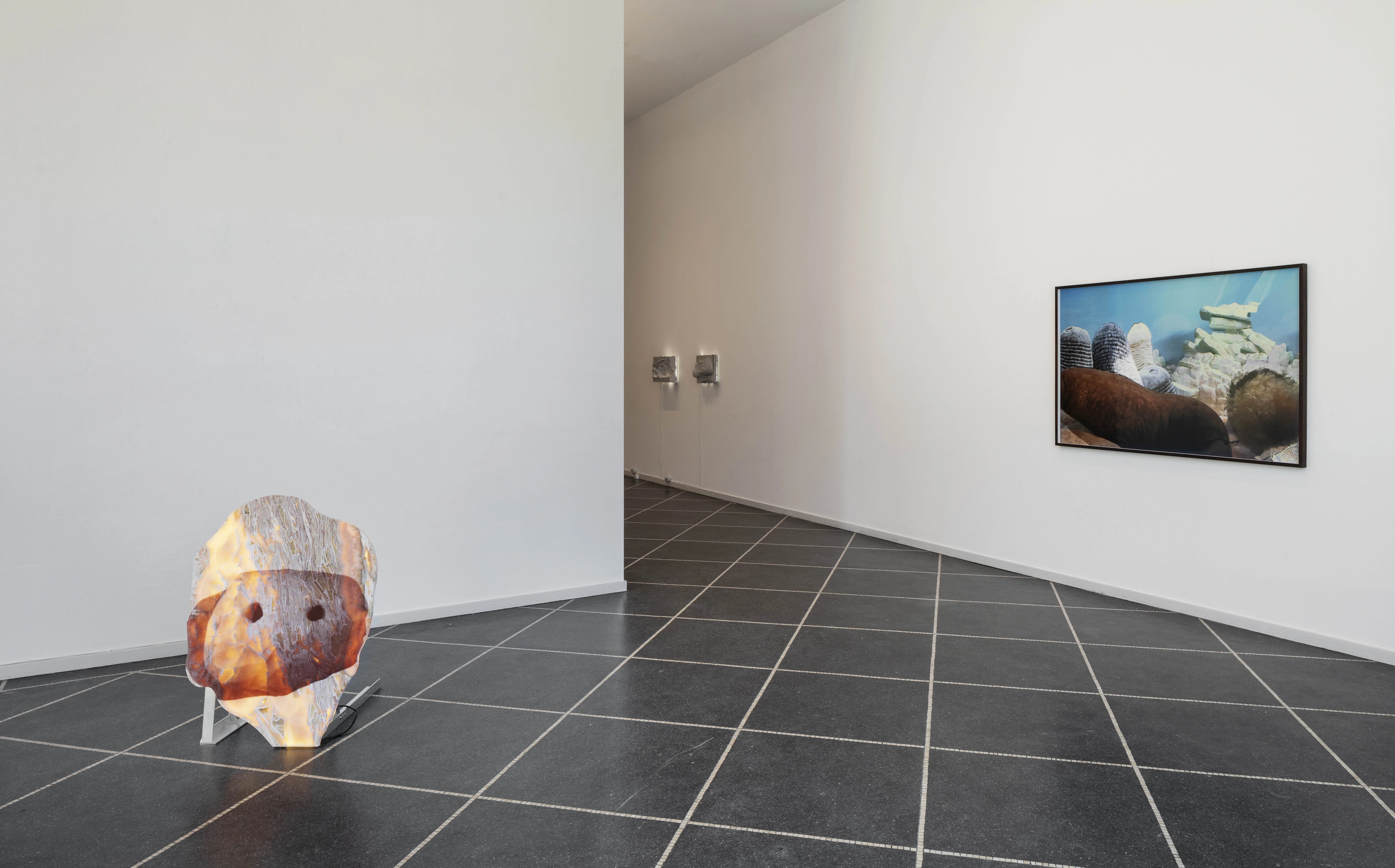 Excess and Melancholy. Installation view. Solo show. Gallery Susanne Ottesen, Copenhagen 