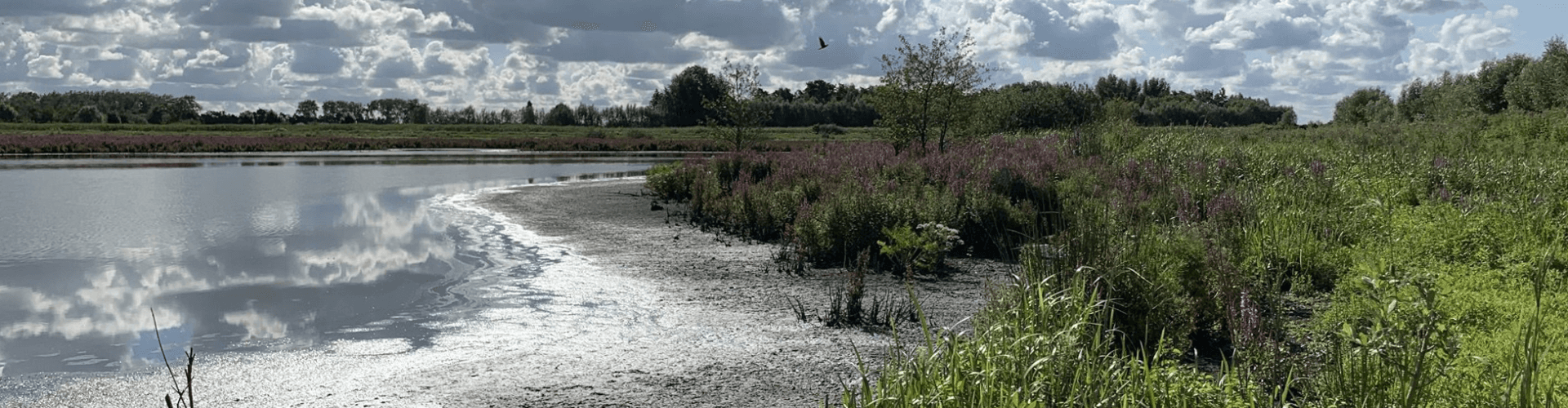 Zouweboezem