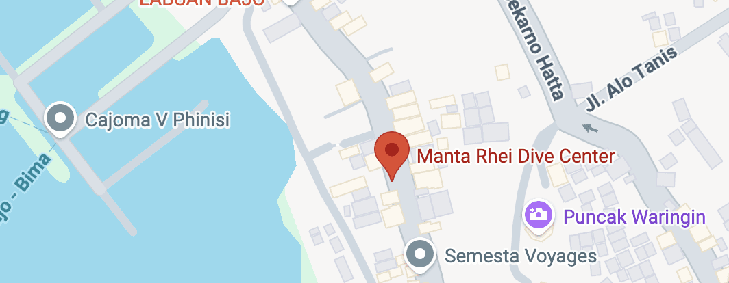 manta rhei komodo dive center scuba diving center indonesia shop location