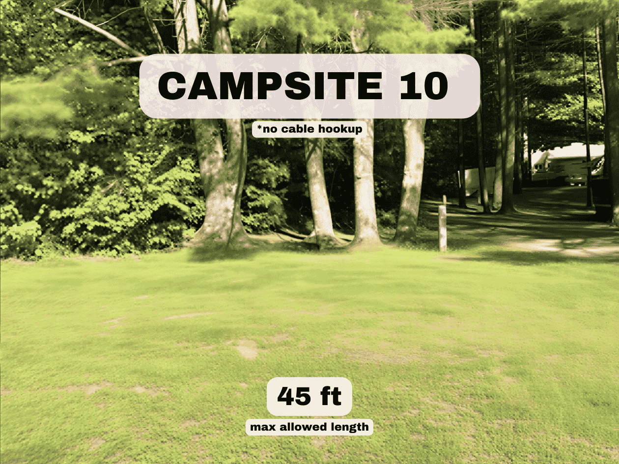 Campsite 10 at Pine Hollow Campground, a 45ft max length RV site with no cable hookup in a wooded Vermont setting