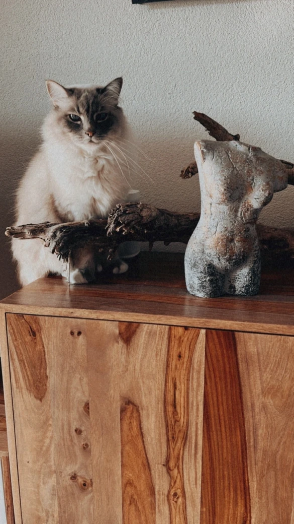 A cat beside an artful stone torso, showcasing Swiss boudoir photography.