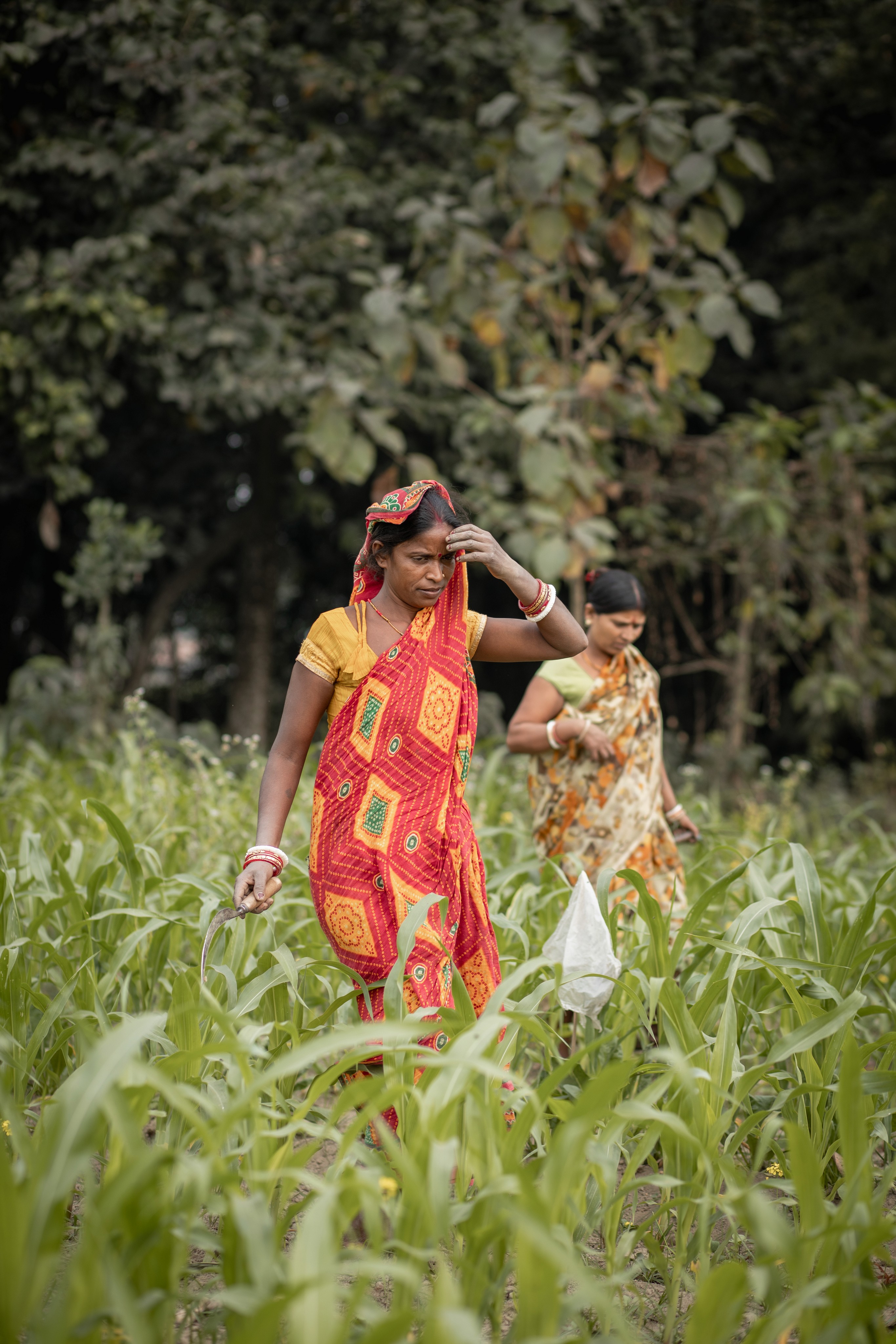 Two women walking through the field about to harvest their produce and store it in Sunmeister solar cold room