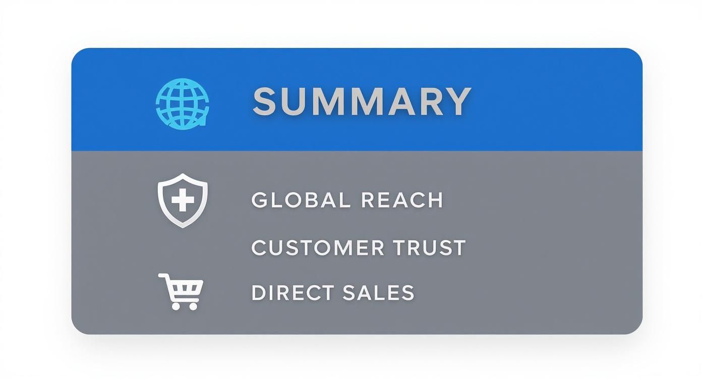 A summary graphic illustrating key business aspects: global reach, customer trust, and direct sales with icons.