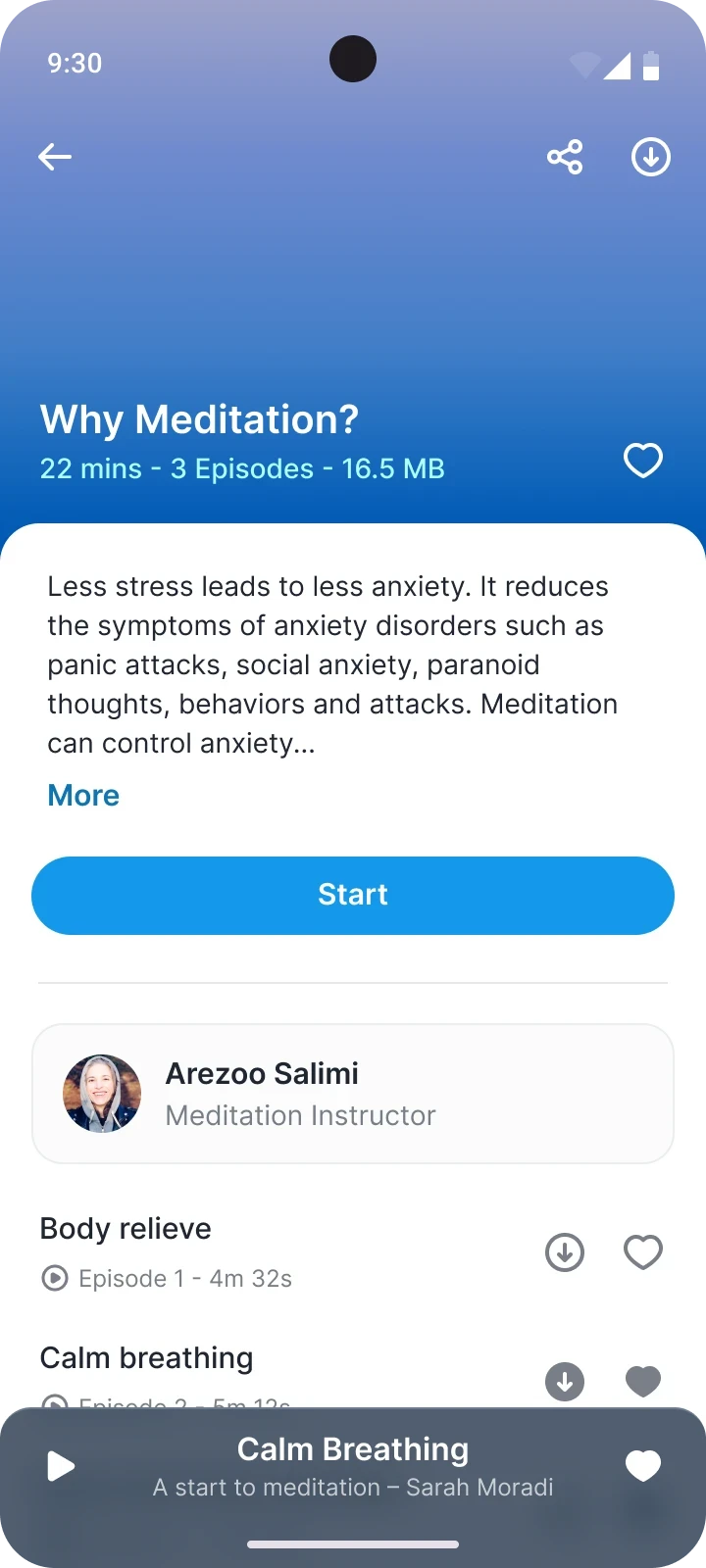 Playlist detail for Why Meditation? with its episodes and instructor