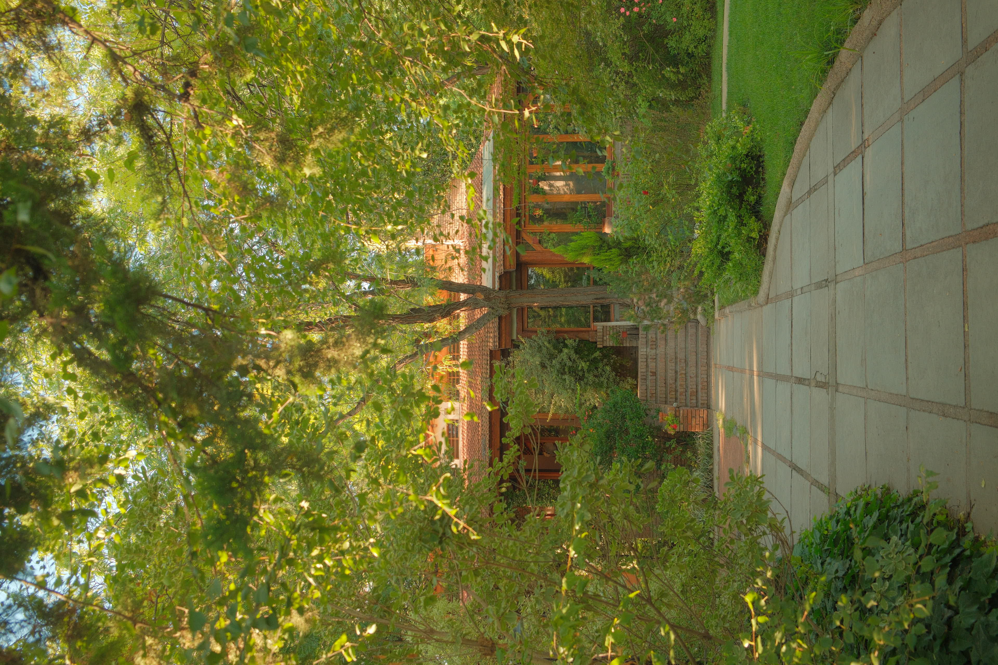 Soothing outdoors of a therapist's Office NYC