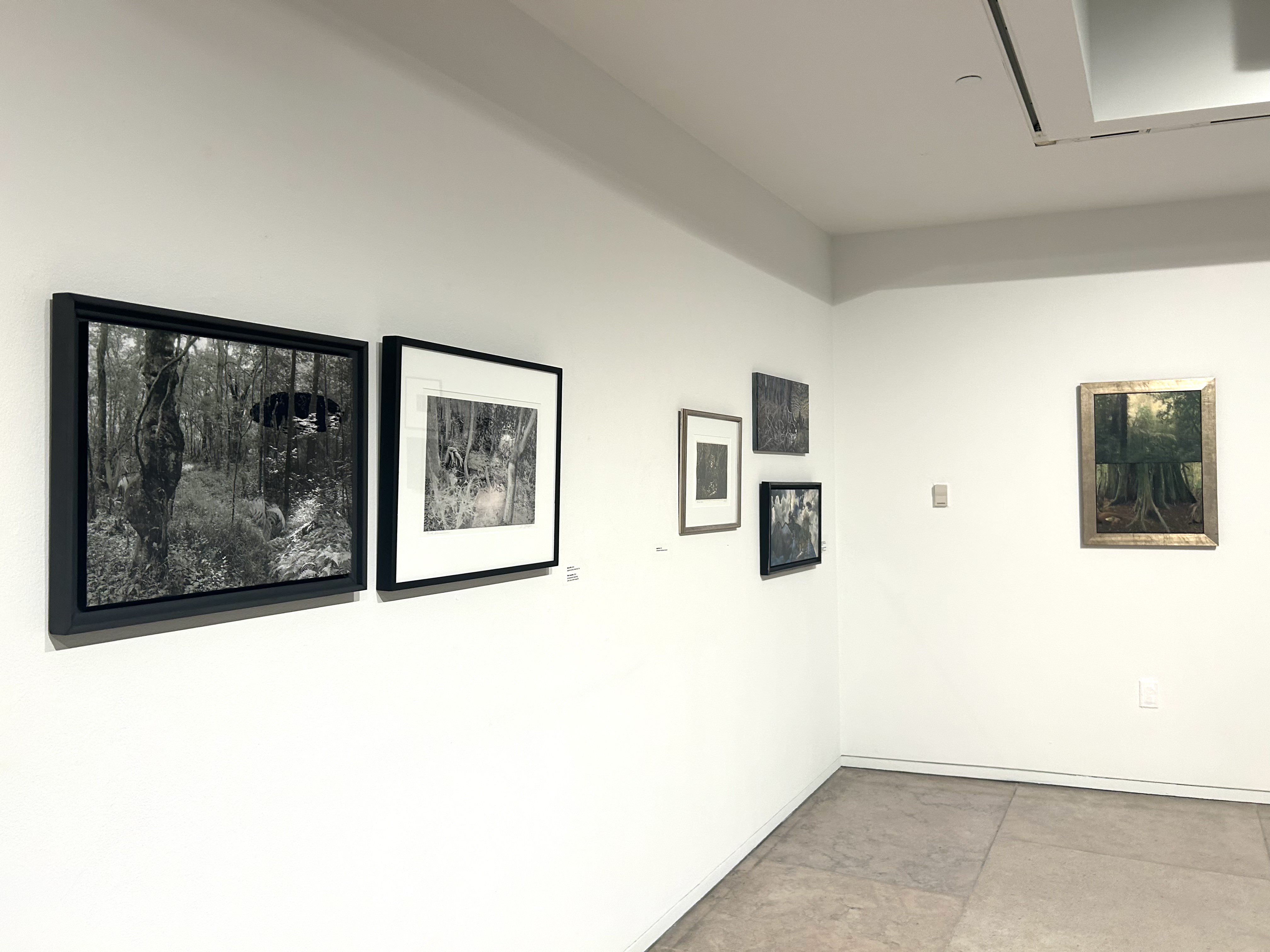 Several artworks hung on the wall of an art gallery by a curator