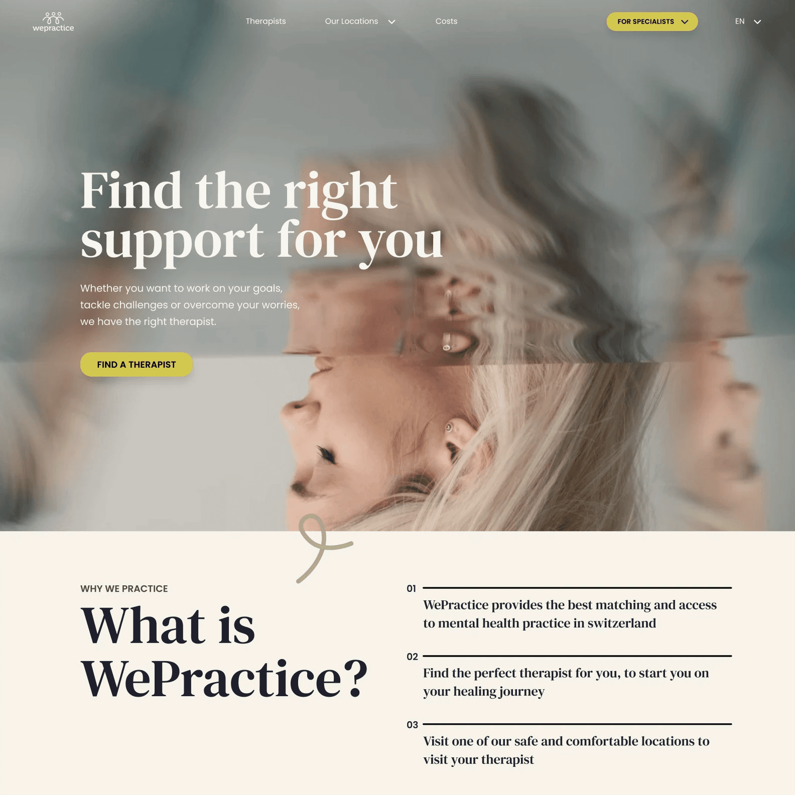 Wepractice website 